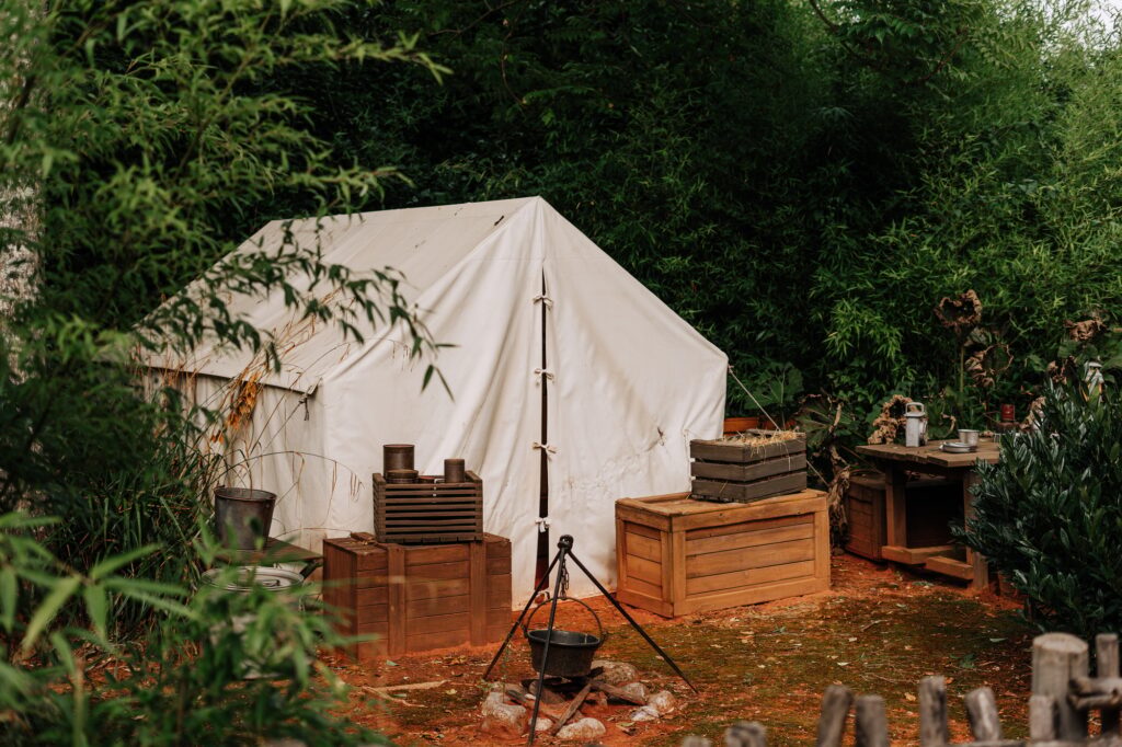 tent on a jungle