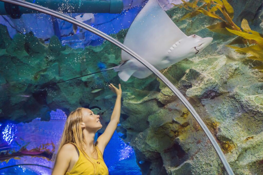 Shreveport Aquarium