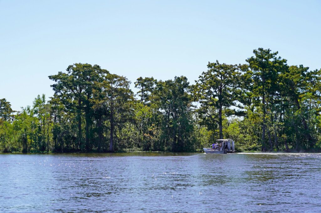 Caddo Lake State Park
