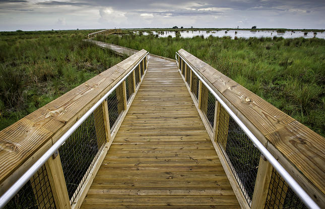 Fontainebleau State Park