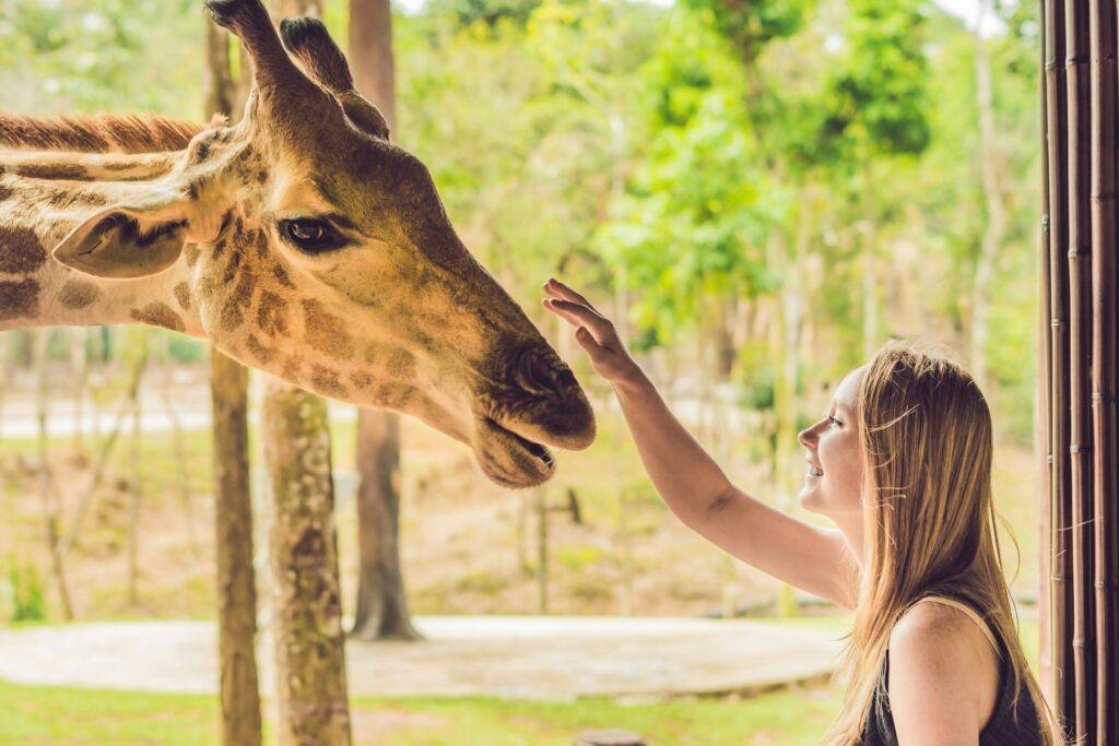 Global Wildlife Center