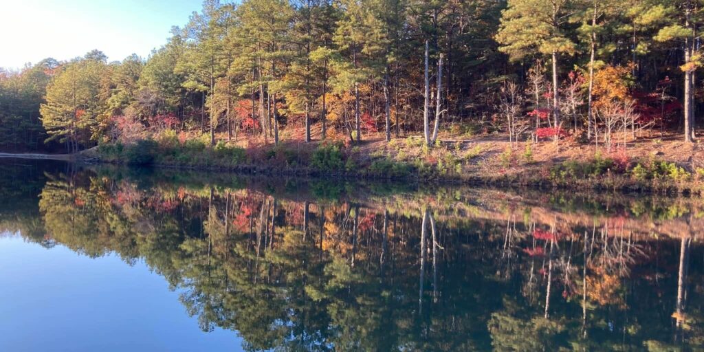 Minooka Park