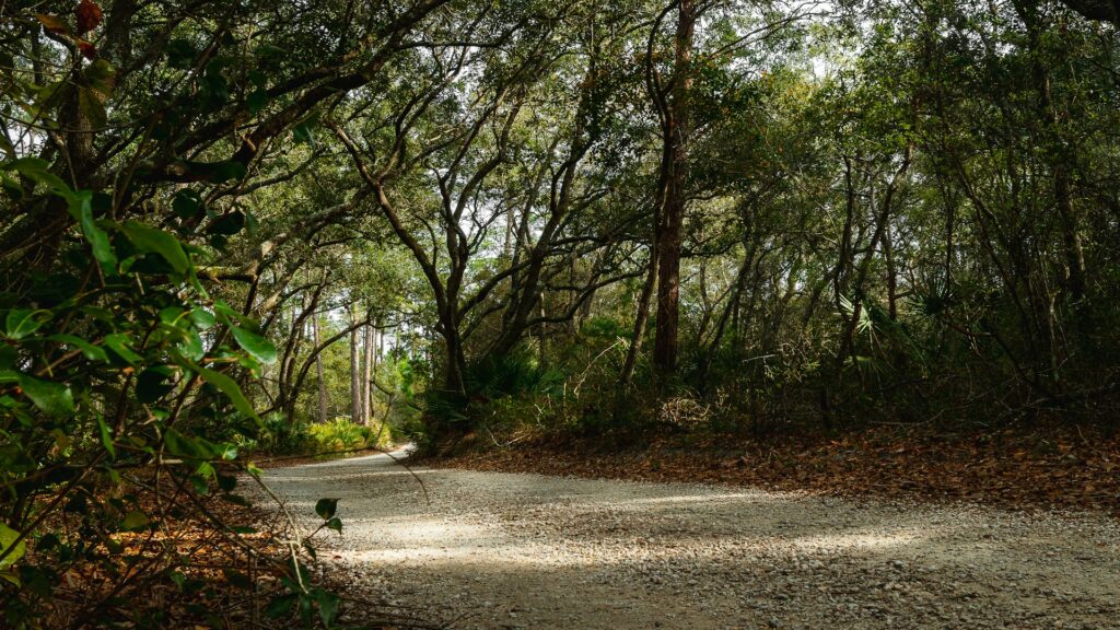 Oak Mountain State Park