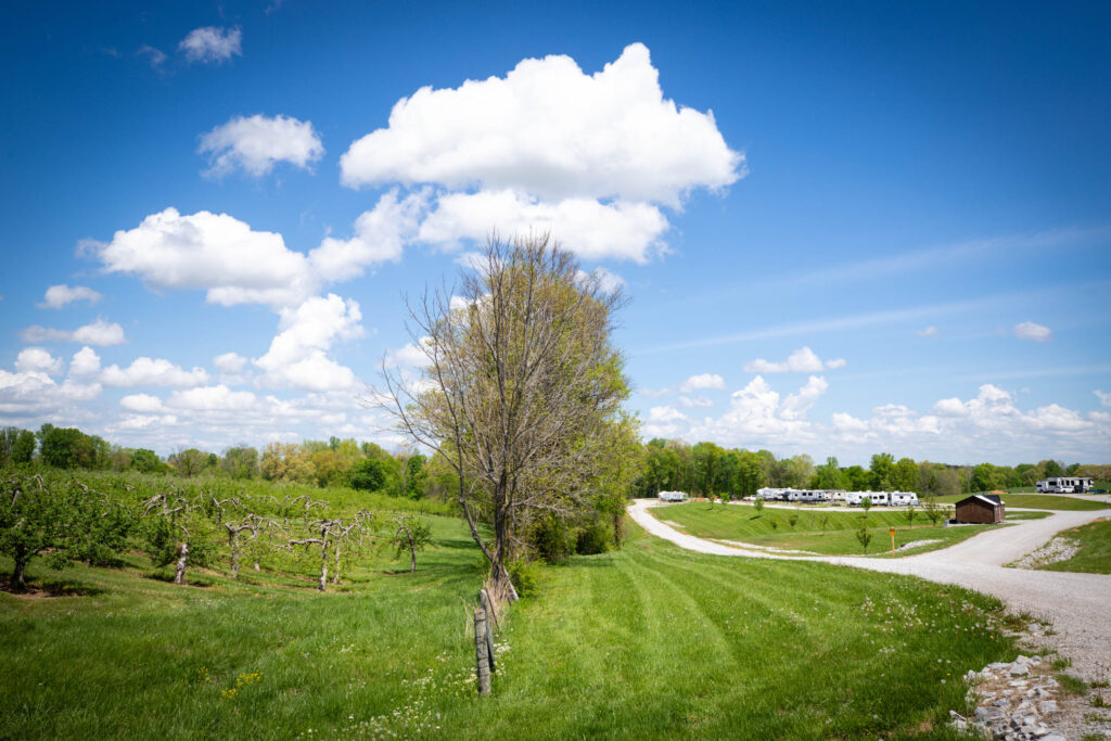 Things to Do Near Off the Hook RV Campground