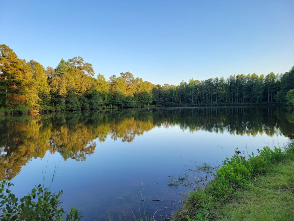 Beautiful Lakeside Setting