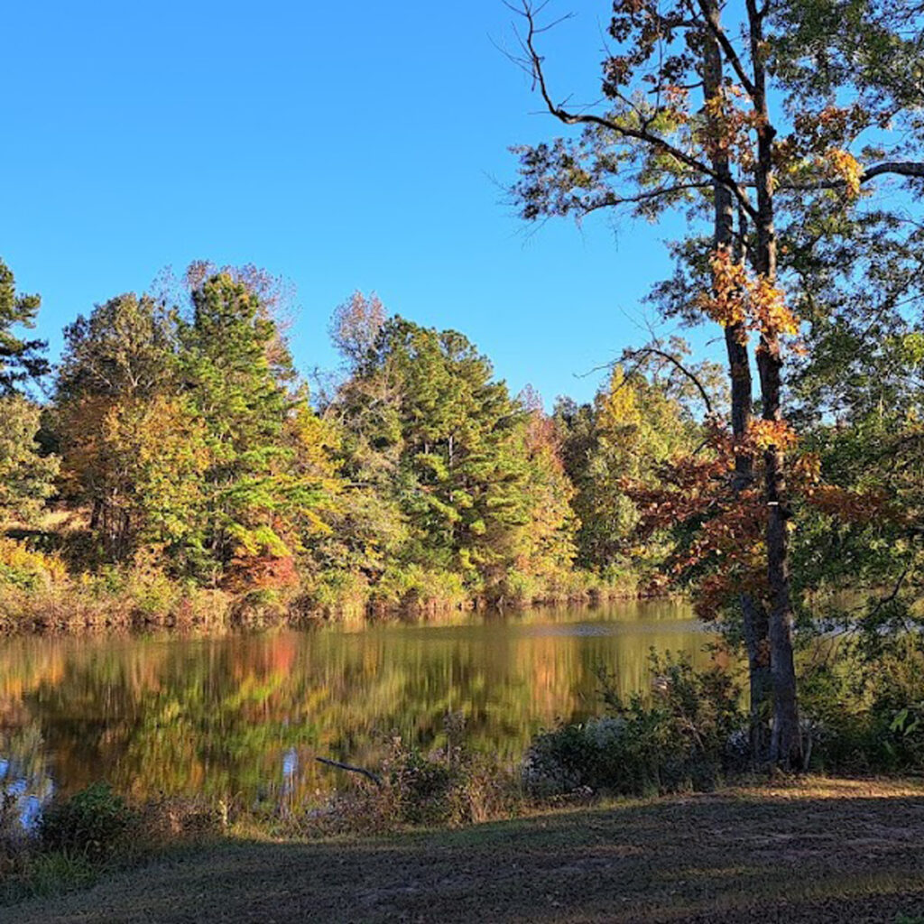 Peach Queen Campground | Jemison, AL