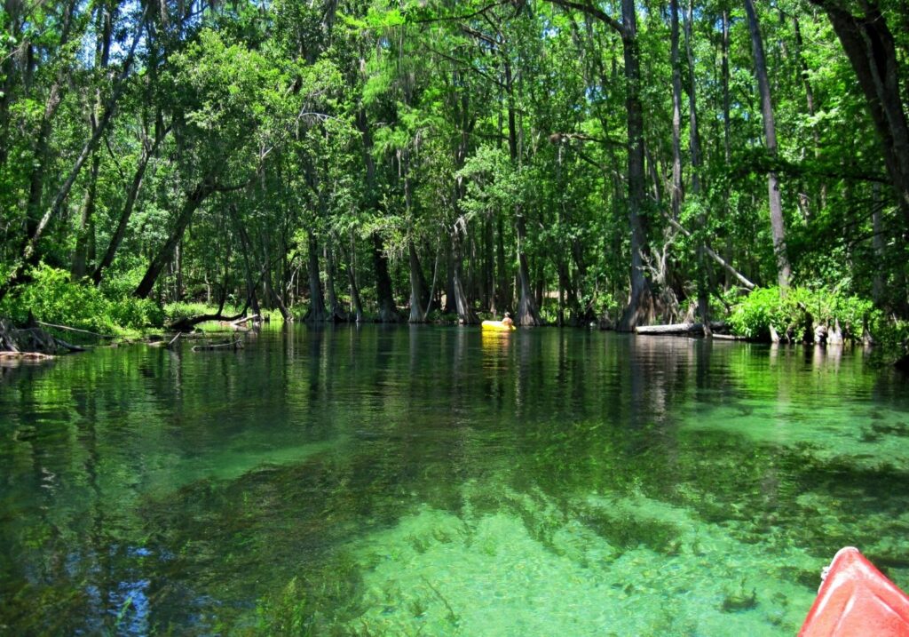 Things to Do near The Station RV Resort 1