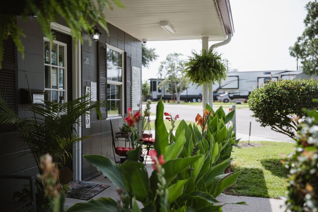 The Bayberry Breeze Blog