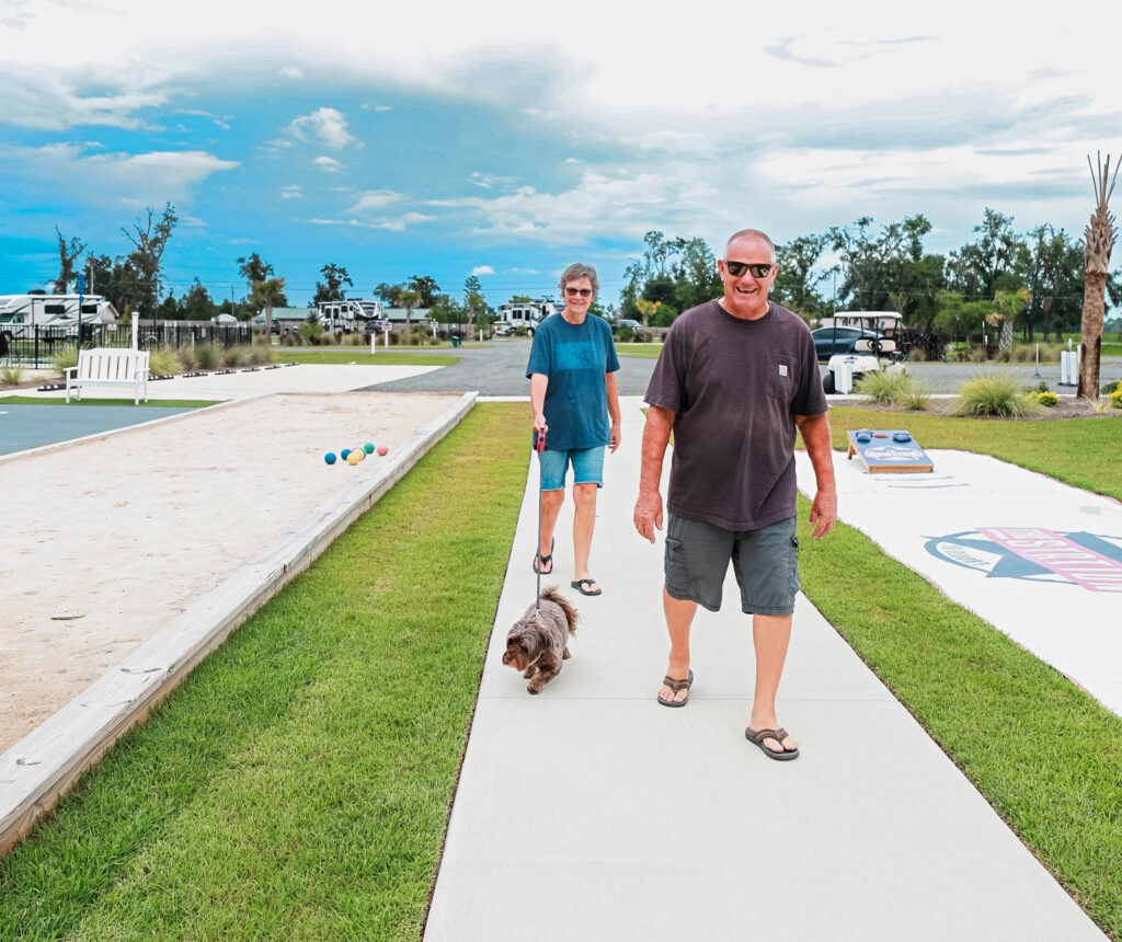 Entertainment for All, Even Your Furry Friends