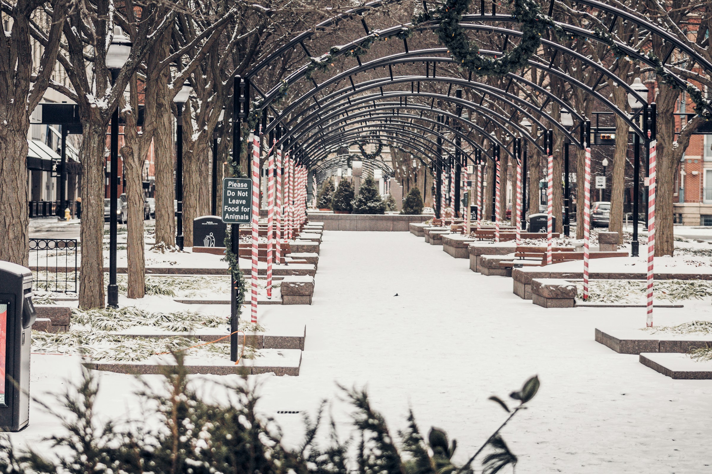 Garfield Park in Cincinnati, OH during the holidays