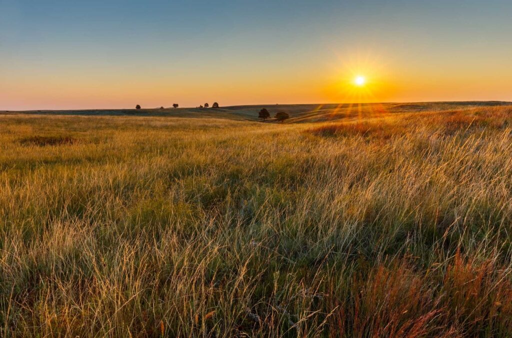 Welcome to the Heartland RV Park and Cabins Blog | Black Hills, South Dakota