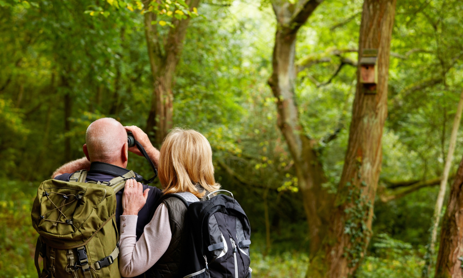 RV travelers birdwatching in a wooded area in Central Georgia during a spring stay at Twin Oaks RV Park.