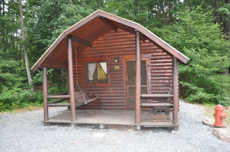 Twin Grove 2 Room Pet Friendly Primitive Cabin