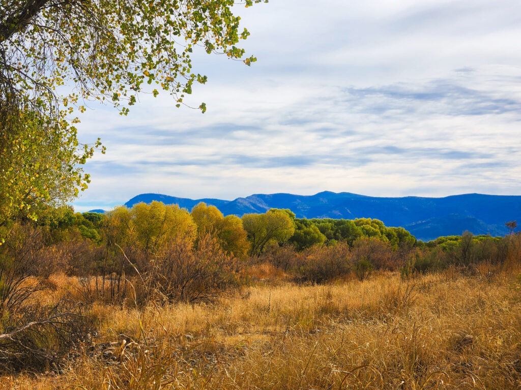 Things to Do In and Around Camp Verde, Arizona