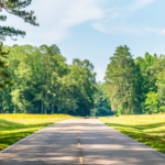 Scenic view of the Natchez Trace Parkway in Mississippi with tree-lined road and natural landscapes along a historic driving route.