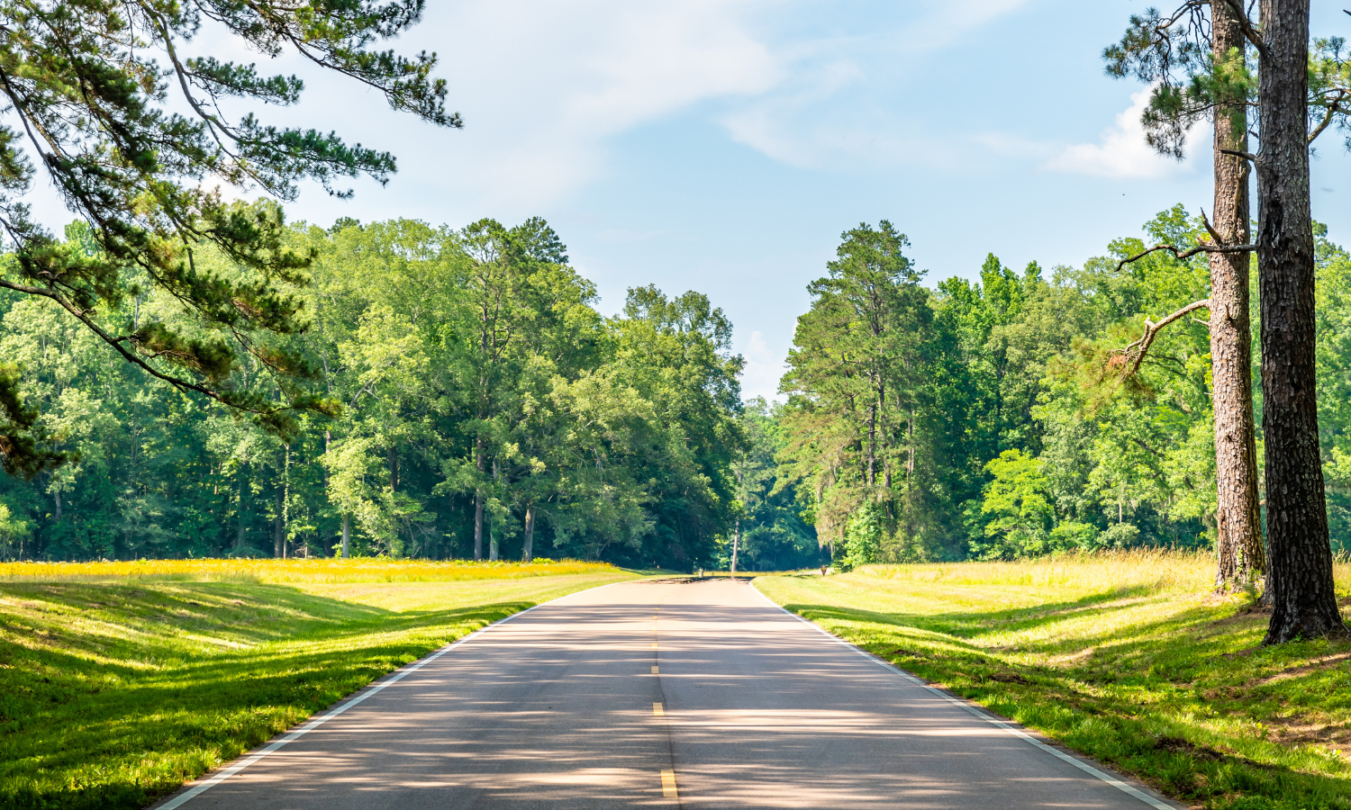 Scenic view of the Natchez Trace Parkway in Mississippi with tree-lined road and natural landscapes along a historic driving route.