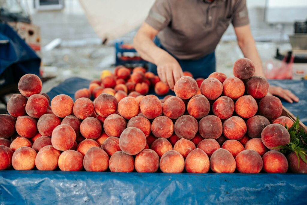 A peach stand in Central Alabama, near Peach Queen Campground.
