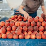 A peach stand in Central Alabama, near Peach Queen Campground.