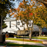 Spacious RV sites surrounded by colorful fall foliage at Bayberry RV Park on the Mississippi Gulf Coast.