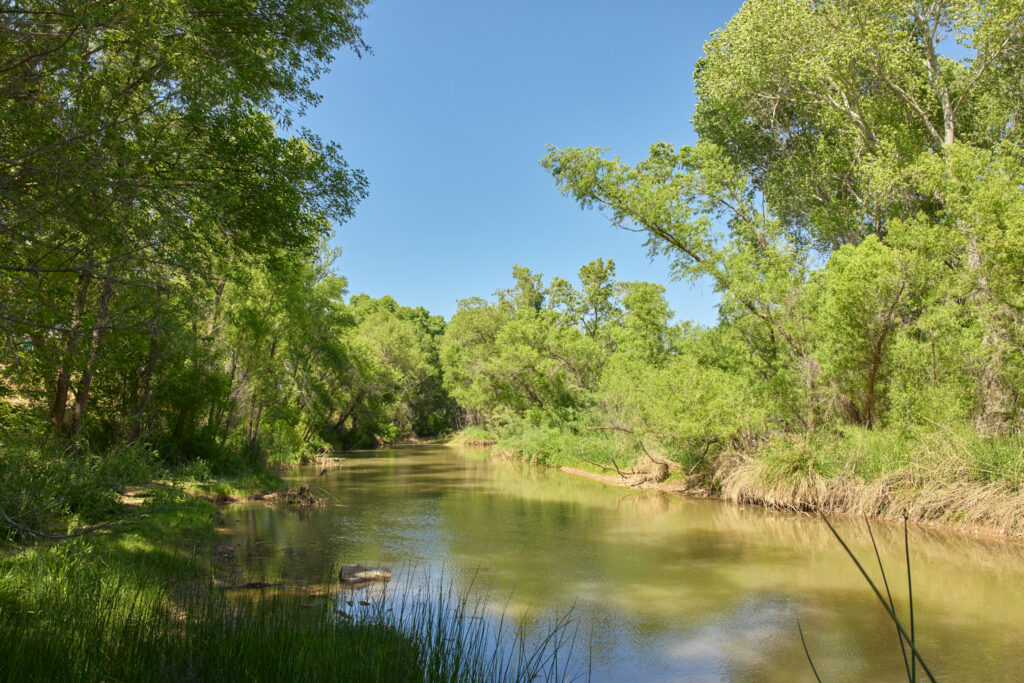 Verde Valley Vignettes Blog Header