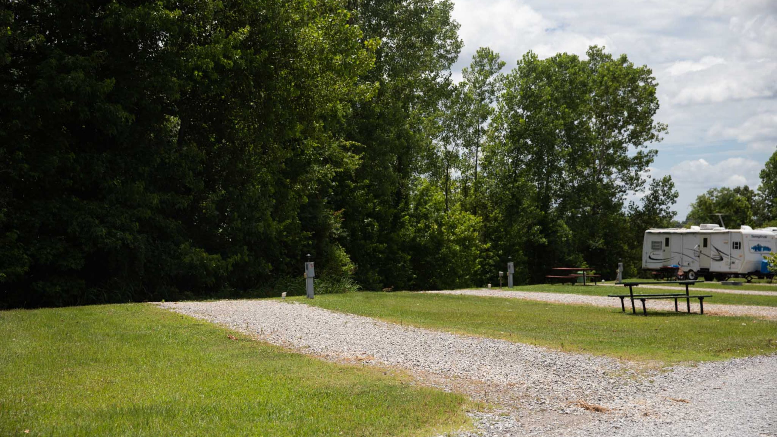 Rivertown Rose Standard Back In