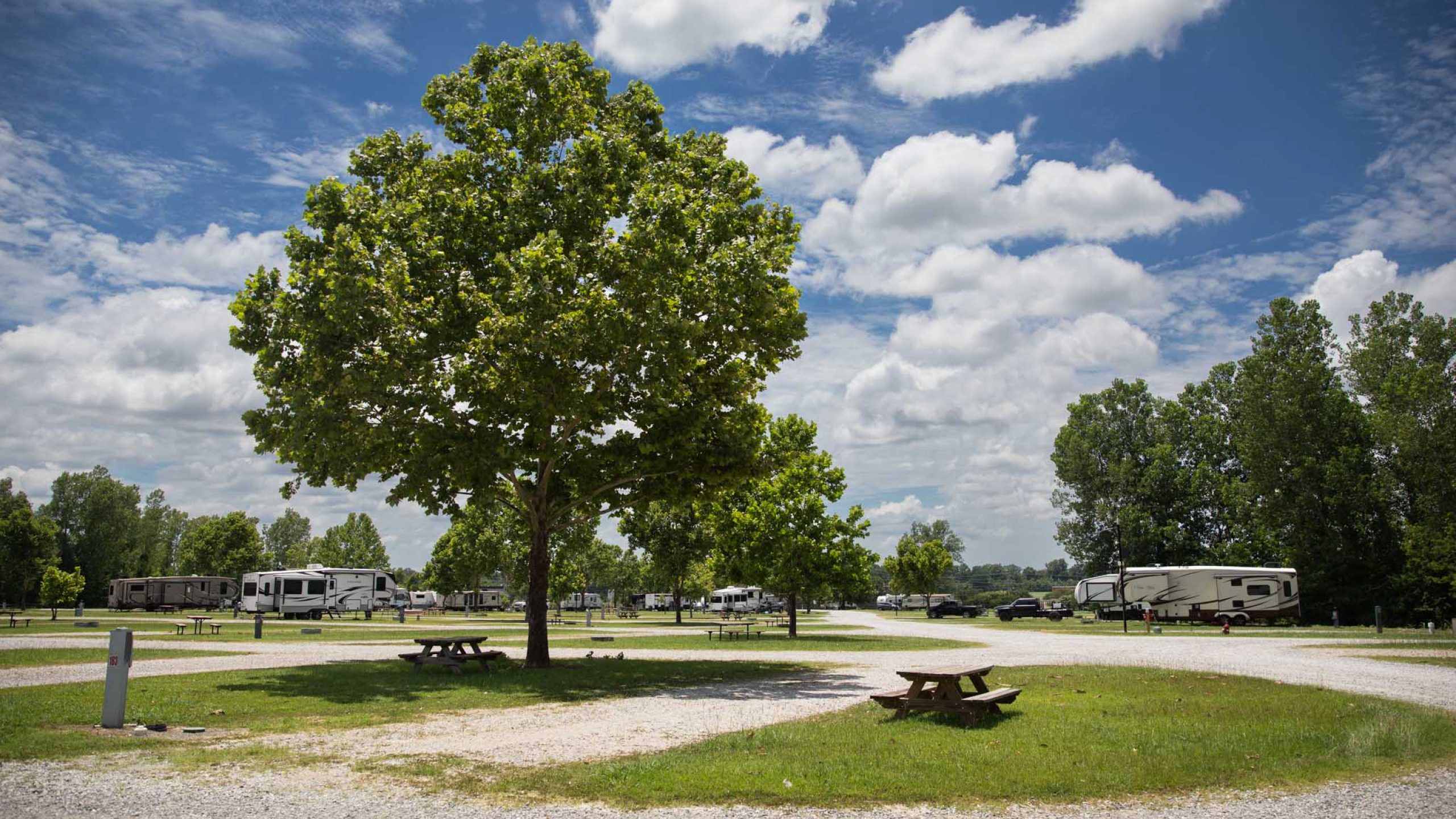 Rivertown Rose Standard Pull Through